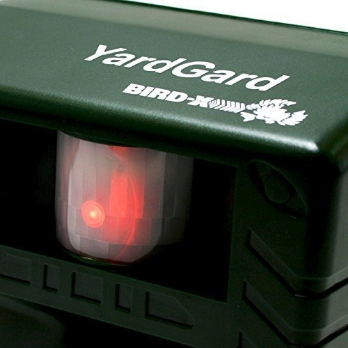 Imagen 7 de 7 de El Repelente Electrónico De Animales Bird-x Yard Gard