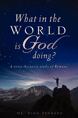 Libro What In The World Is God Doing? - Pedrone, Dino