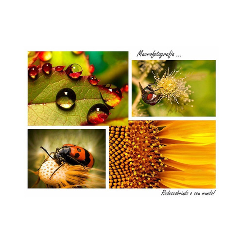 Kit Filtro Macro 67mm Nikon D7200 D7100 D5600 D5500 D810