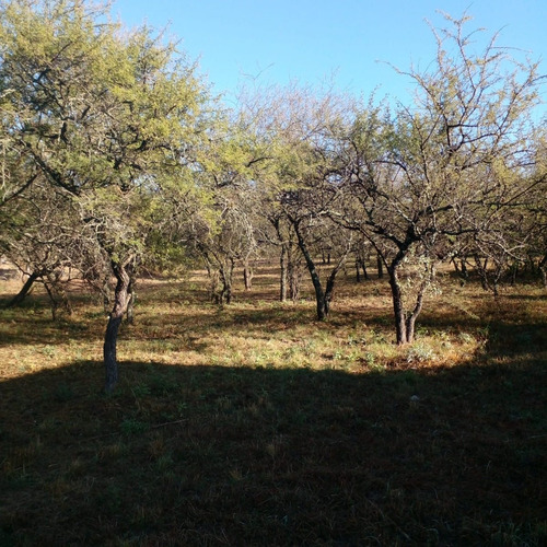Imagen 5 de 10 de Oportunidad Retasado!!!!excelente Lote En Mendiolaza Golf Con Escritura!