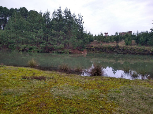 Imagen 5 de 14 de Rancho En Venta En Agua Blanca Pachuca Hidalgo