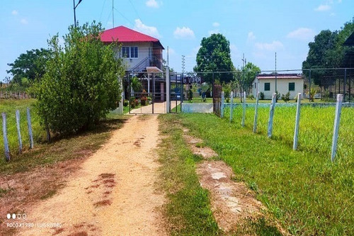 Imagen 5 de 11 de Rp Asein1110 Vende Hermosa Finca En Achagua, Estado Apure. Venezuela
