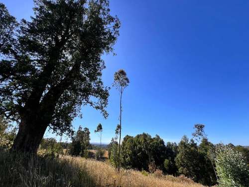 Proyecto Monte Pradera