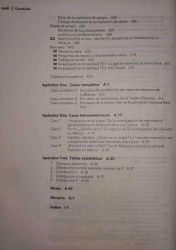 Investigación De Mercados En Un Ambiente De Info. Digital (Reacondicionado)