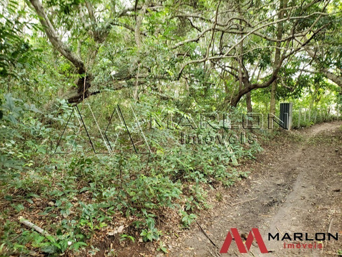 Imagem 6 de 8 de Vtp02275 Terreno Nisia Floresta, Com 39.346m2