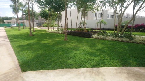 Imagen 7 de 27 de Renta De Departamento En Jardines Del Sur 4 En Cancun