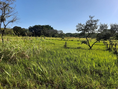 Terreno 1000m2 Sorocaba