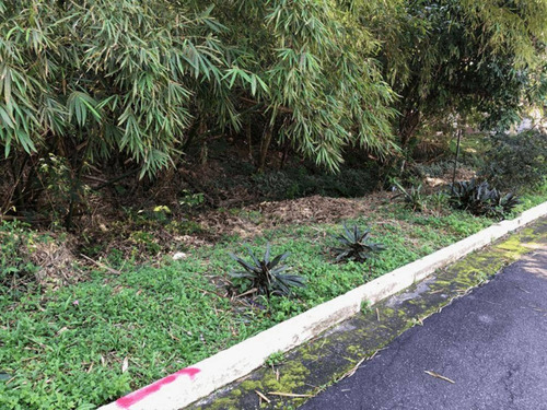 Imagem 3 de 12 de Terreno À Venda, 360 M² Por R$ 100.000,00 - Rio Do Ouro - Niterói/rj - Te2588