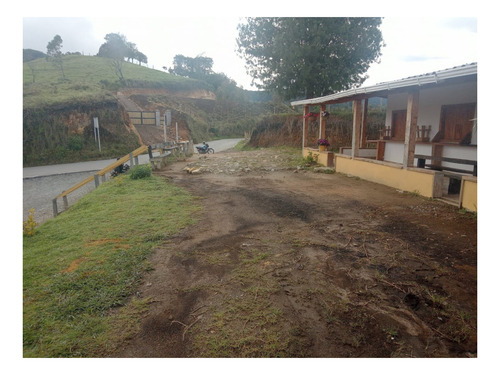 Imagen 3 de 7 de Finca Pequeña En Abejorral.tierra De Aguacate