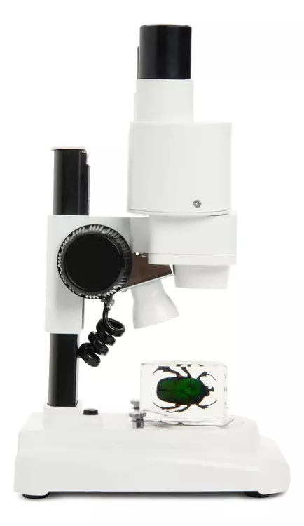 Primera imagen para búsqueda de microscopio para electronica