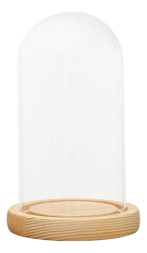 Cúpula De Vidrio Cloche Campana Frasco Base De Madera