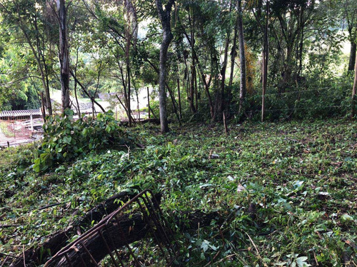 Imagem 7 de 8 de Terreno, Itaim Mirim, Santana De Parnaíba - R$ 100 Mil, Cod: 235506 - V235506