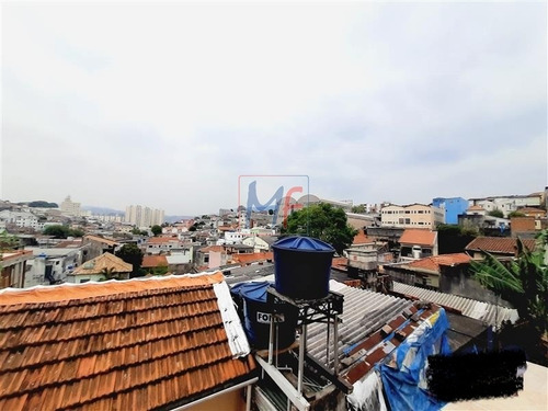 Imagem 14 de 30 de Ref: 13.978 - Lindo Sobrado No Bairro Vila Amélia, Com 4 Quartos, Sala, Cozinha, Área De Serviço, 4 Vagas, + Duas Casas Nos Fundos E Embaixo. - 13978