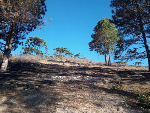 Imagem 7 de 11 de Terreno Com Vista Deslumbrante! - 34