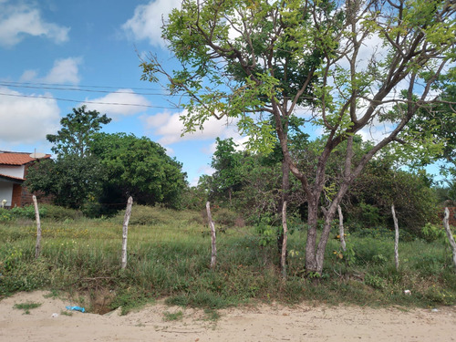 Terreno Em Barreirinhas - Ma