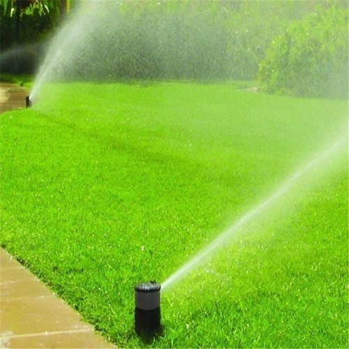 Unidad Desplegable Aspersor Rain Bird 1/2 Aspersor Drive, 10