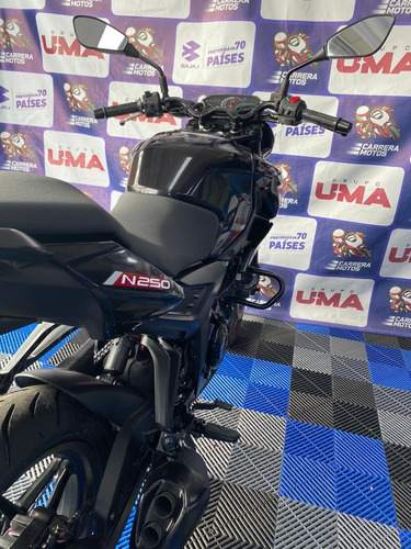 Imagen 9 de 18 de Pulsar N250