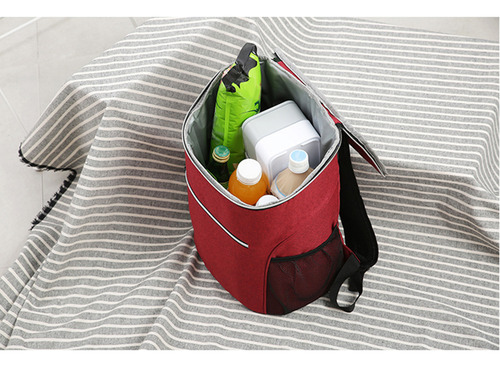 Mochila De Picnic Al Aire Libre Multifuncional Aislamiento 20l
