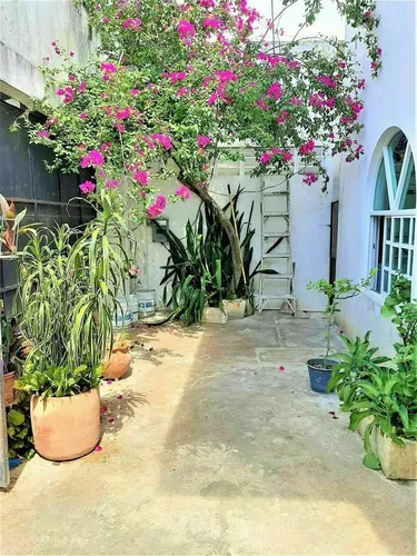 En Francisco De Montejo, Casa Amplia (gvc-1524)