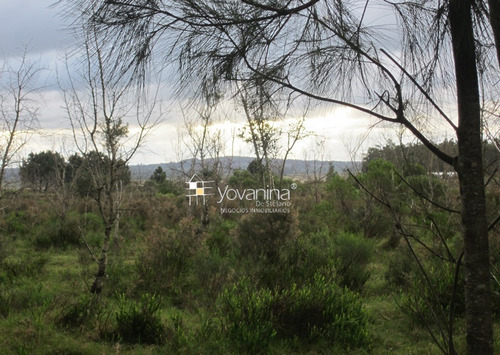 Campo En Venta En Cuchilla Alta Canelones De 21 Hectáreas Ref. Y 150