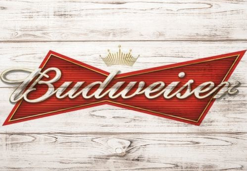 Imagem 1 de 2 de Placa Quadro Decorativo A3 - 30 X 42 Cerveja Budweiser