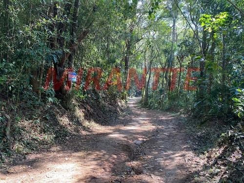 Imagem 4 de 4 de Terreno Em Serra Da Cantareira - Mairiporã, Sp - 359297