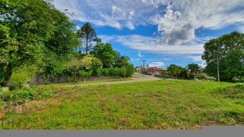 Terreno Jardim Maluche - Amplo - Plano - Lindo - Tr 211 - Tr 211