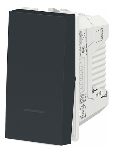 Módulo Interruptor Simples 10a Orion Grafite Schneider