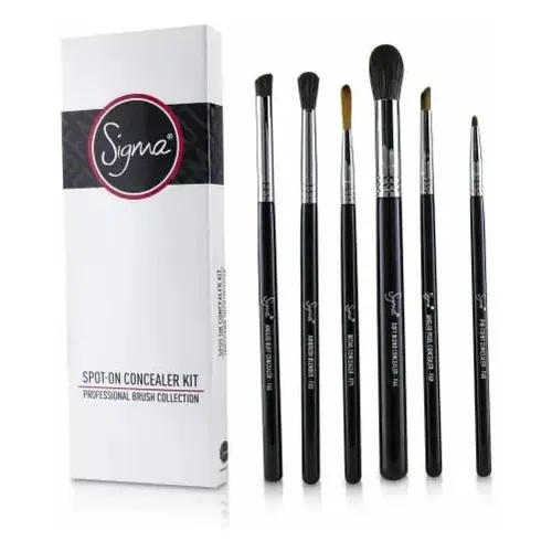 Kit de brochas sigma sale