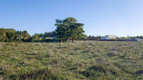 6 Terrenos De 40m X 40m En Villa Loguercio