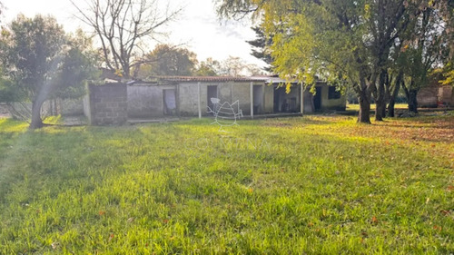 Campo De 4 Has 1602 M2 Muy Cerca De Ruta 12 Y La 9.