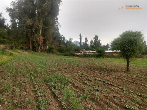 Imagen 9 de 15 de Venta Terreno En Puente Alto, 16.000 M2 Superficie