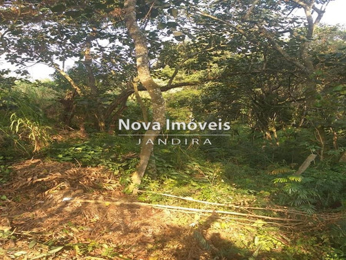 Imagem 25 de 25 de Area Para Investimento Parceira - 1392