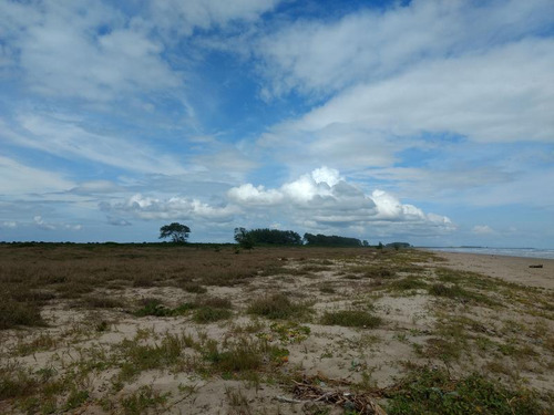 Venta Terreno 50 Hectareas Frente Playa Tamiahua Veracruz