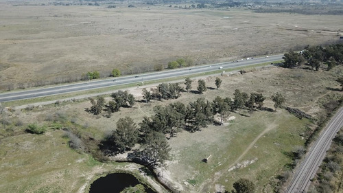 Imagen 7 de 9 de Campo - Rio Lujan