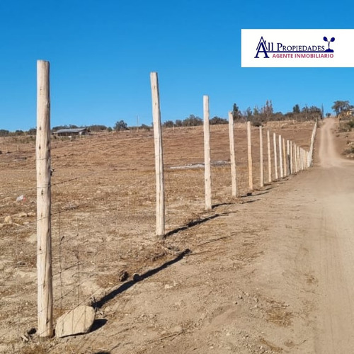 Imagen 2 de 3 de Terreno En Punitaqui, Sector El Ciénago