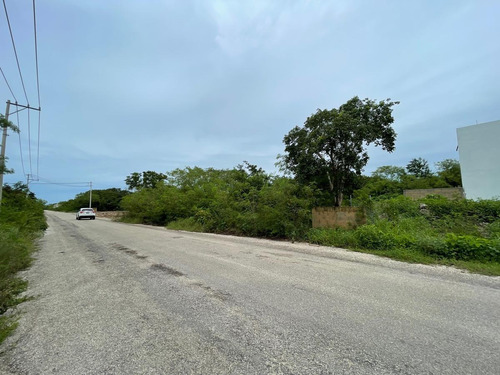 Imagen 2 de 7 de Terrenos En Temozón Con Calle Pavimentada 1, 2 O 3 Lotes Juntos - Temozon Norte