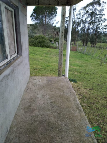 Imagen 7 de 30 de Vendo Excelente Chacra De 39 Hectáreas Para Granja Turística O Tambo, Aigua, Punta Del Este - Aiguá Aiguá