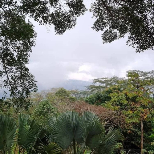 Imagen 15 de 15 de Terreno En Venta Bejuma