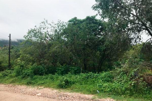 Imagen 2 de 2 de Lote En Venta De 1000 M2 Ubicado En La Falda