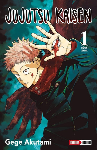 Manga  Jujutsu Kaisen - Tomo 1 - Panini Argentina + Reg.