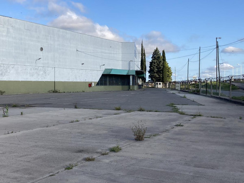 Imagen 23 de 27 de Depósito 6.000m2 - Rosario
