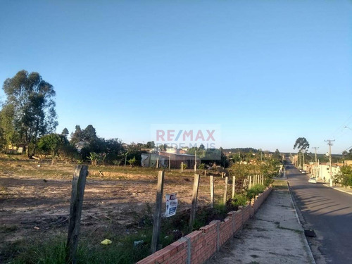 Imagem 3 de 23 de Terreno À Venda, 1920 M² Por R$ 320.000,00 - Jardim Botucatu (rubião Júnior) - Botucatu/sp - Te0117