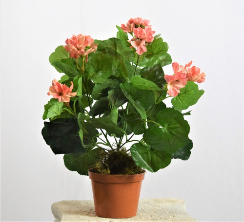 Plantin Geranio - Plantas Artificiales . Regalosdeco