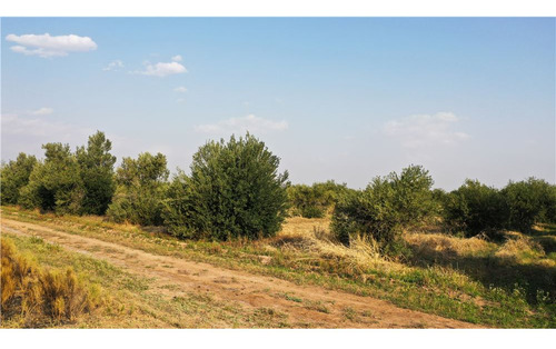 Finca De 54 Has Y 3800 M2 Has En 3 De Mayo Lavalle