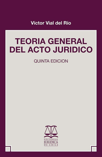 Teoria General Del Acto Juridico / Victor Vial Del Rio