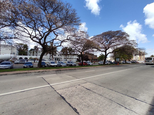 Imagen 11 de 11 de Ideal Inversor!. Av. Italia Con Renta