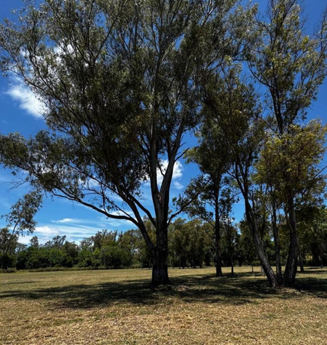 Venta Lote Chacras Del Parana