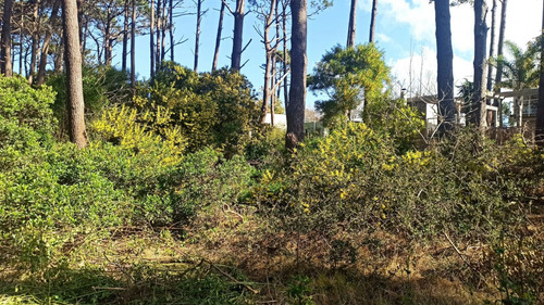 Lote En Venta (ref: Bpv-7048)
