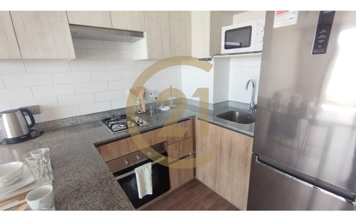 Se Arrienda Departamento Amoblado En Sector Norte